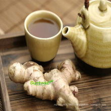 Chinese ginger seeds, high yield, high quality, wholesale, fresh and easy to grow Flavored plant